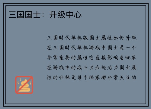 三国国士：升级中心